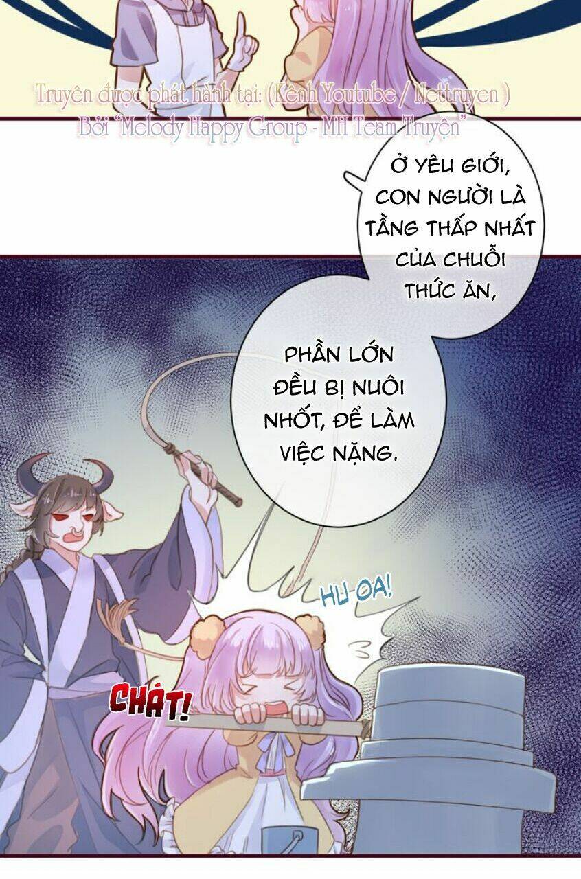 Mỹ Vị Hữu Không Phải Lỗi Của Tôi: Chapter 3