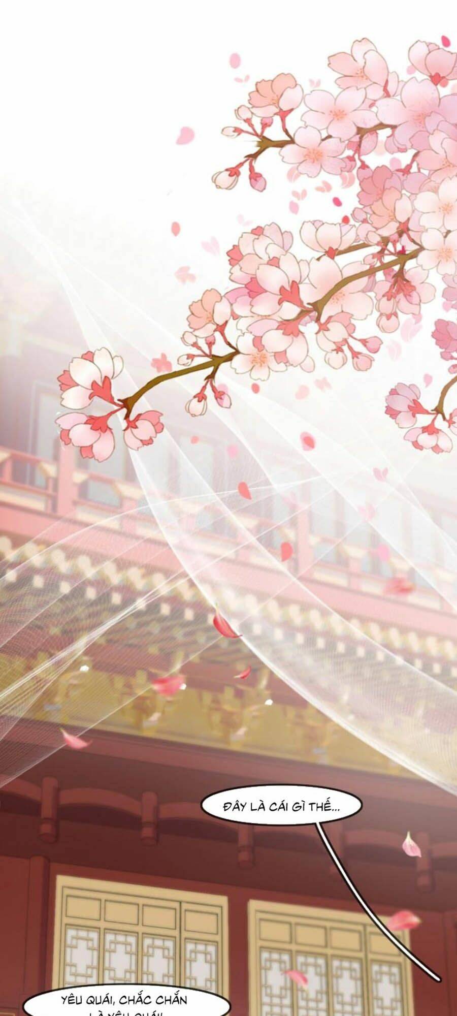 Vân Tưởng Chi Ca: Truy Ái Chỉ Lệnh: Chapter 5