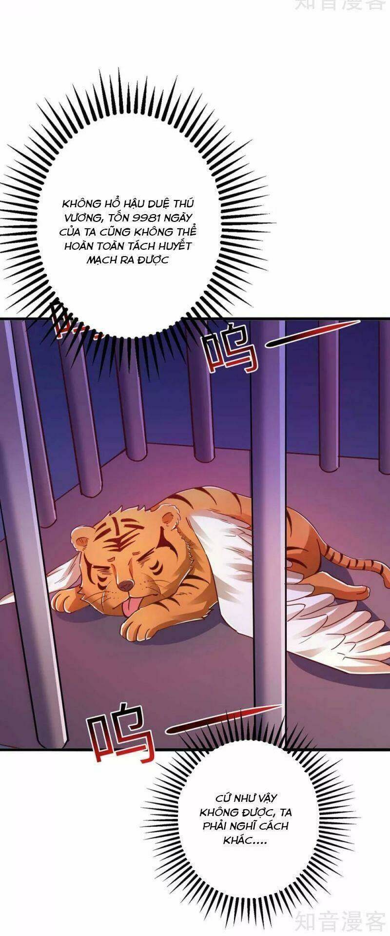 Siêu Cấp Thôn Phệ Hệ Thống: Chapter 45