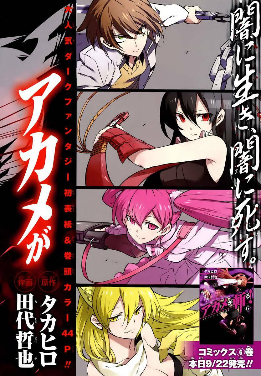 Akame Ga Kiru: Chapter 30