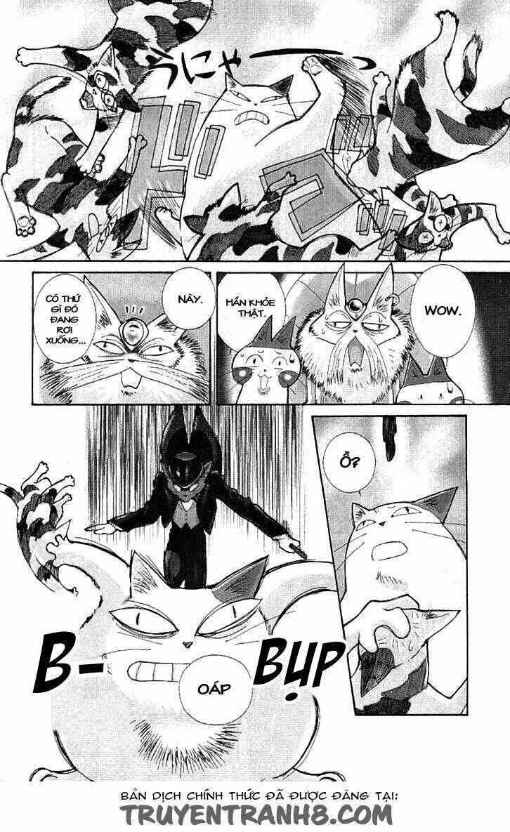 Lời Thì Thầm Từ Trái Tim: Chapter 8