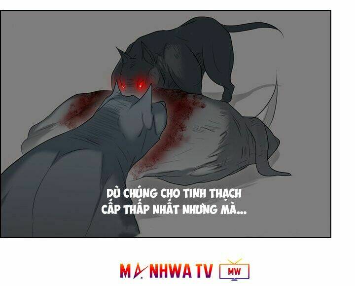 Người Cống Hiến: Chapter 11