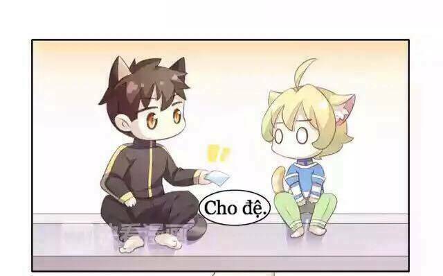Dưới Móng Vuốt Mèo: Chapter 11