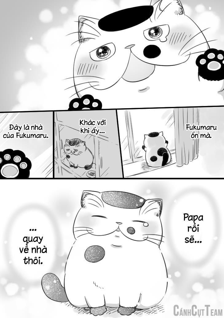 Ông Chú Và Con Mèo Mặt Bựa: Chapter 11.1