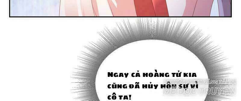 Liêu Cung Phong Hoa: Chapter 8