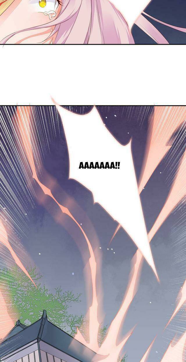 Đốt Đào Hoa: Chapter 47