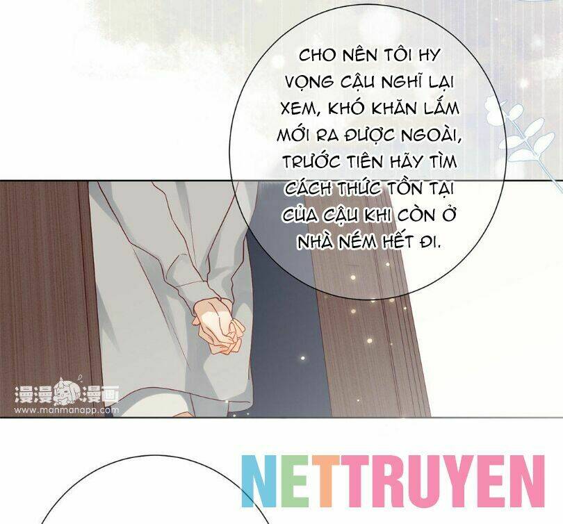 Lời Thề Như Sương Triều: Chapter 11