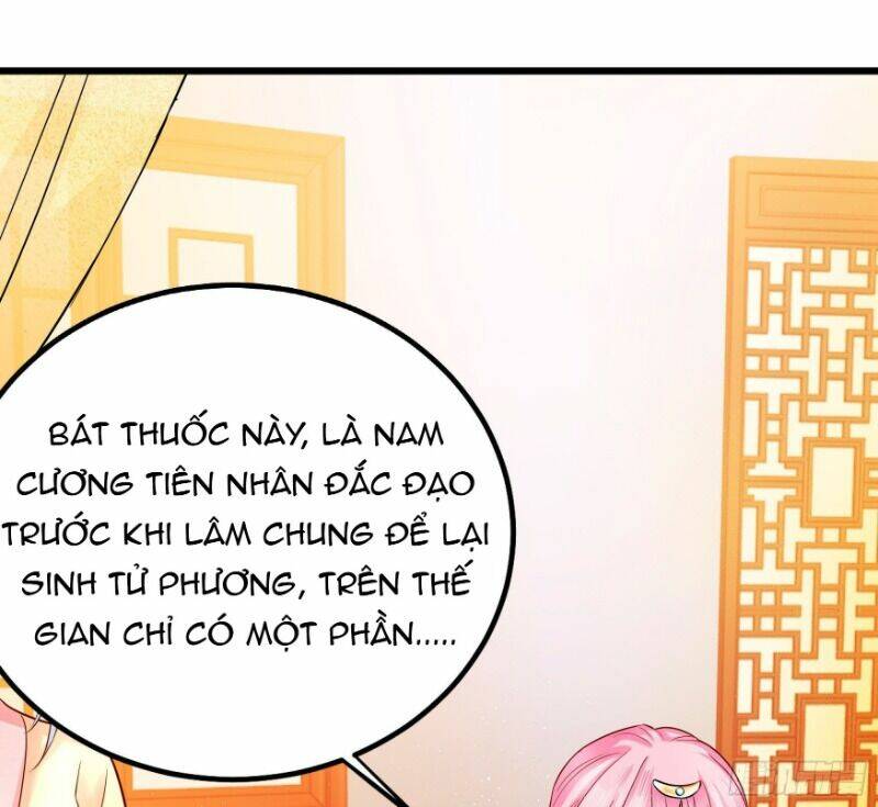 Ta Phải Làm Hoàng Hậu: Chapter 5