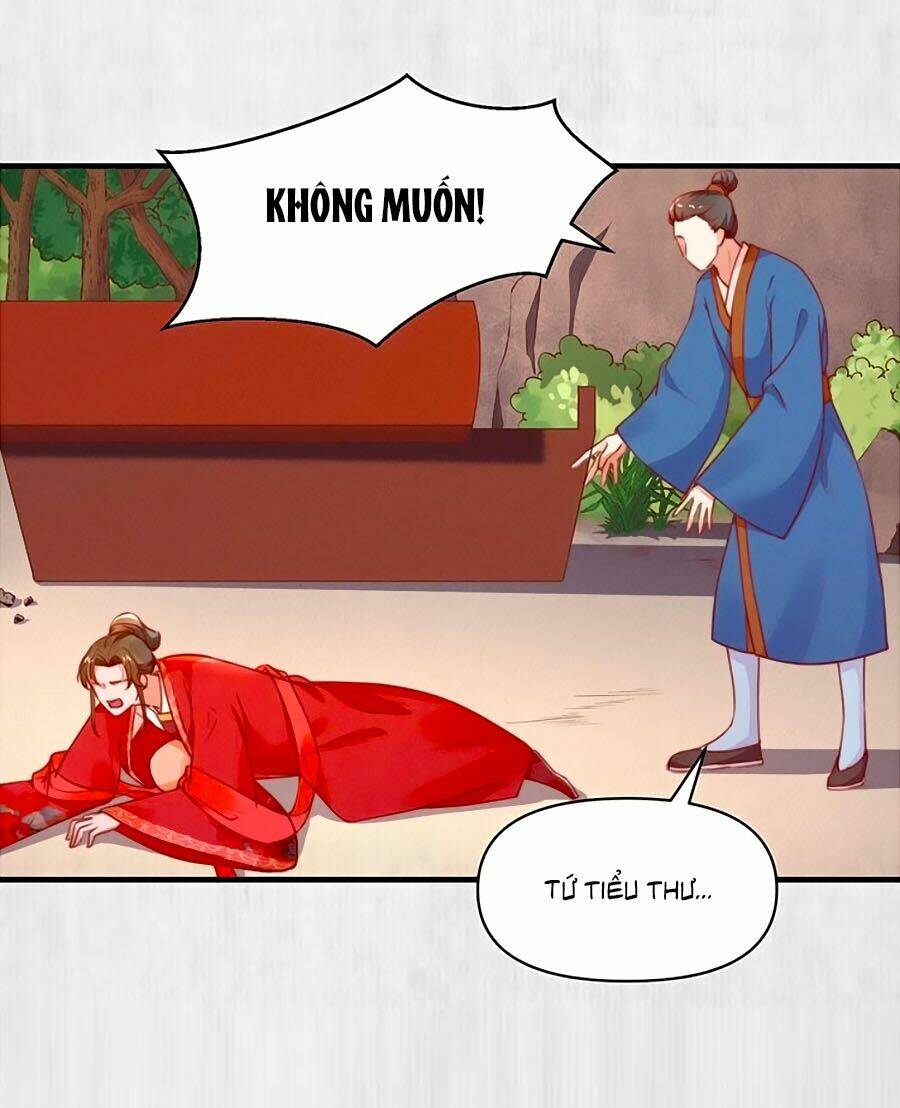 Hoạn Phi Hoàn Triều: Chapter 84
