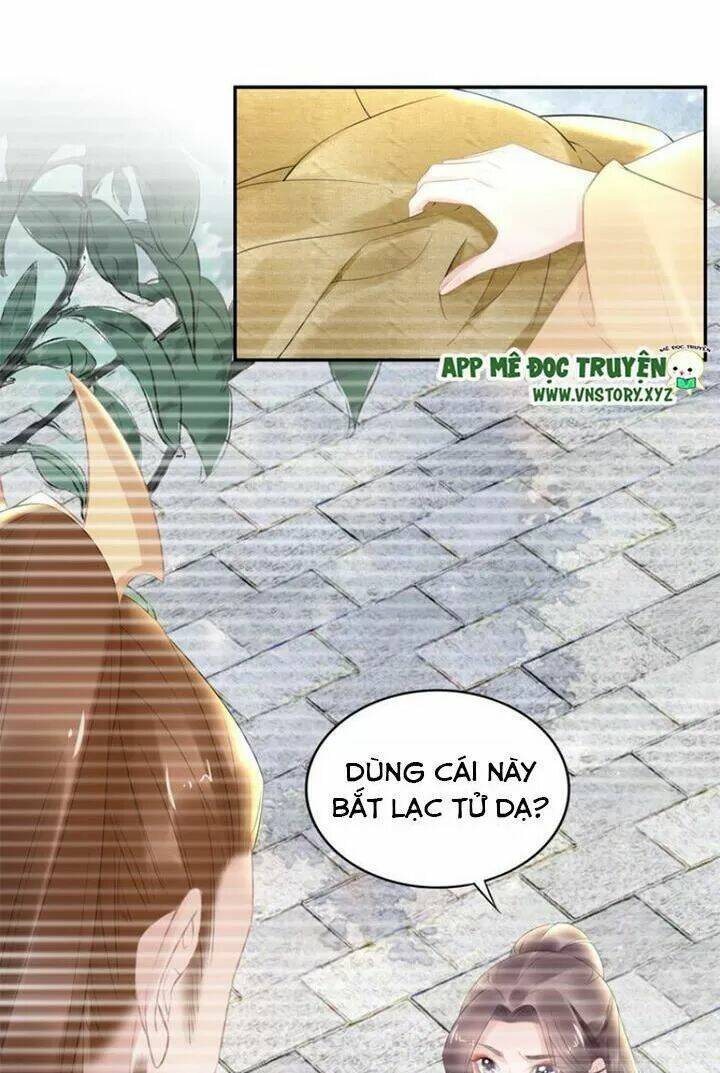 Nhất Sinh Nhất Thế Tiếu Thương Khung: Chapter 72