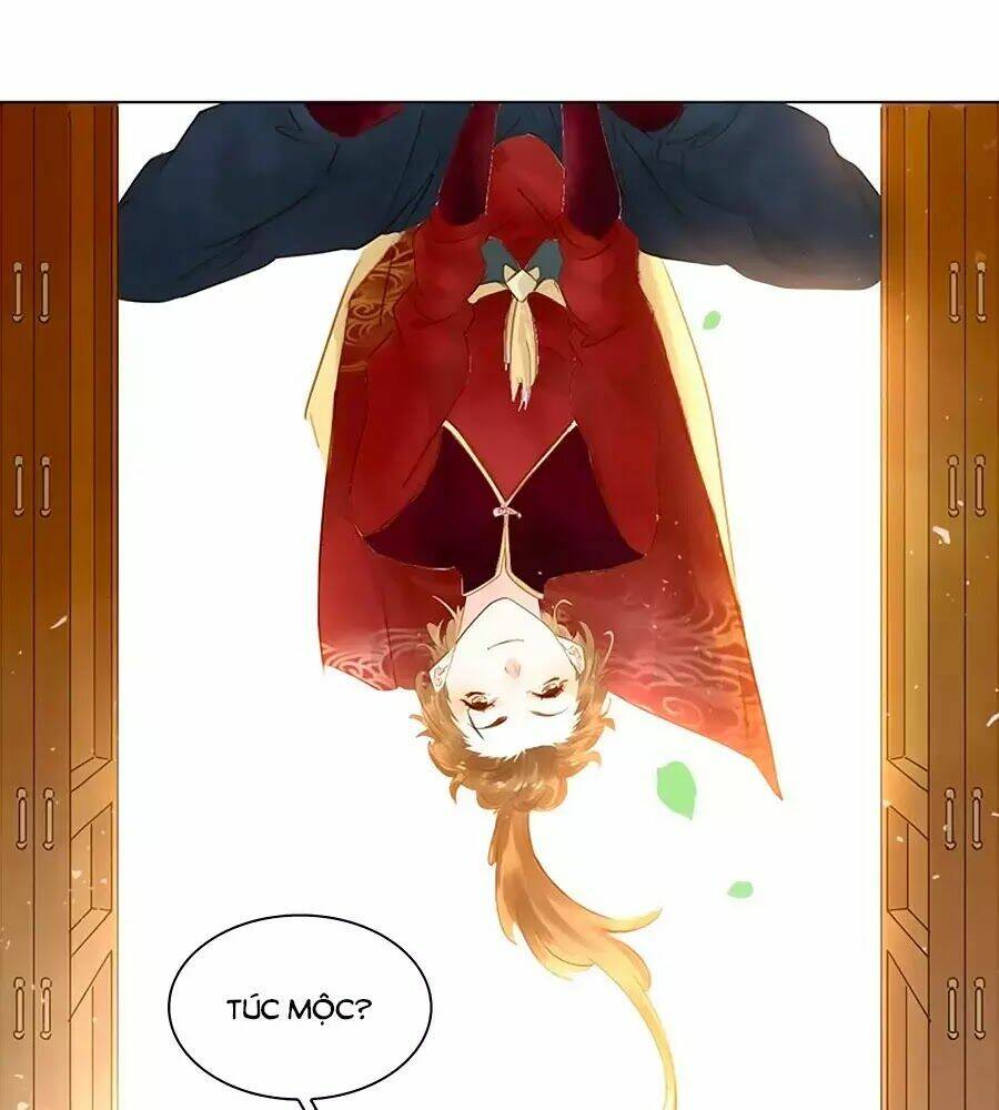 Tiểu Sư Phụ, Tóc Giả Của Ngài Rơi Rồi!: Chapter 7