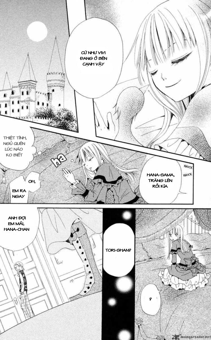 Hoa Và Ác Ma: Chapter 3