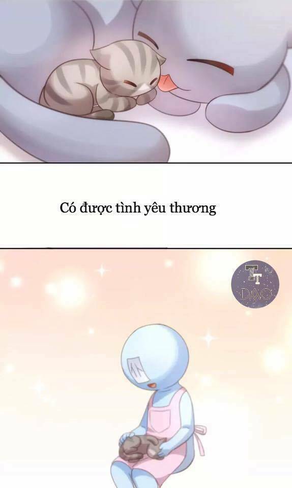 Dưới Móng Vuốt Mèo: Chapter 19