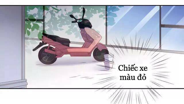 Dưới Móng Vuốt Mèo: Chapter 15