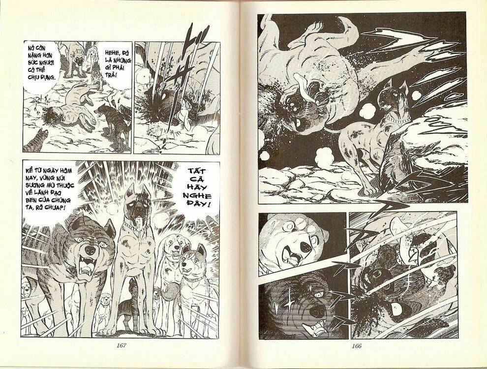Chú Chó Có Nghĩa - Ginga Nagareboshi Gin: Chapter 16