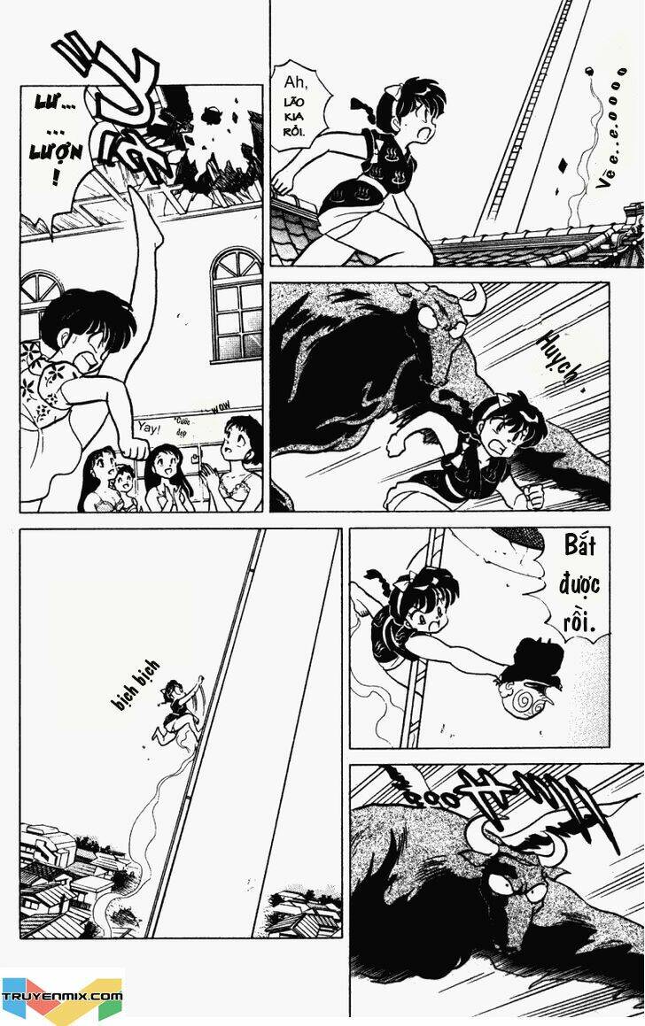 Suối Lời Nguyền: Chapter 237