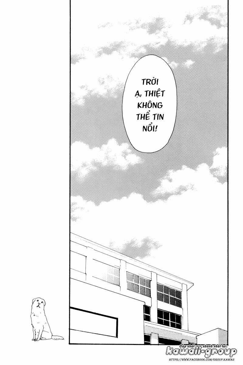 Principal: Chapter 11