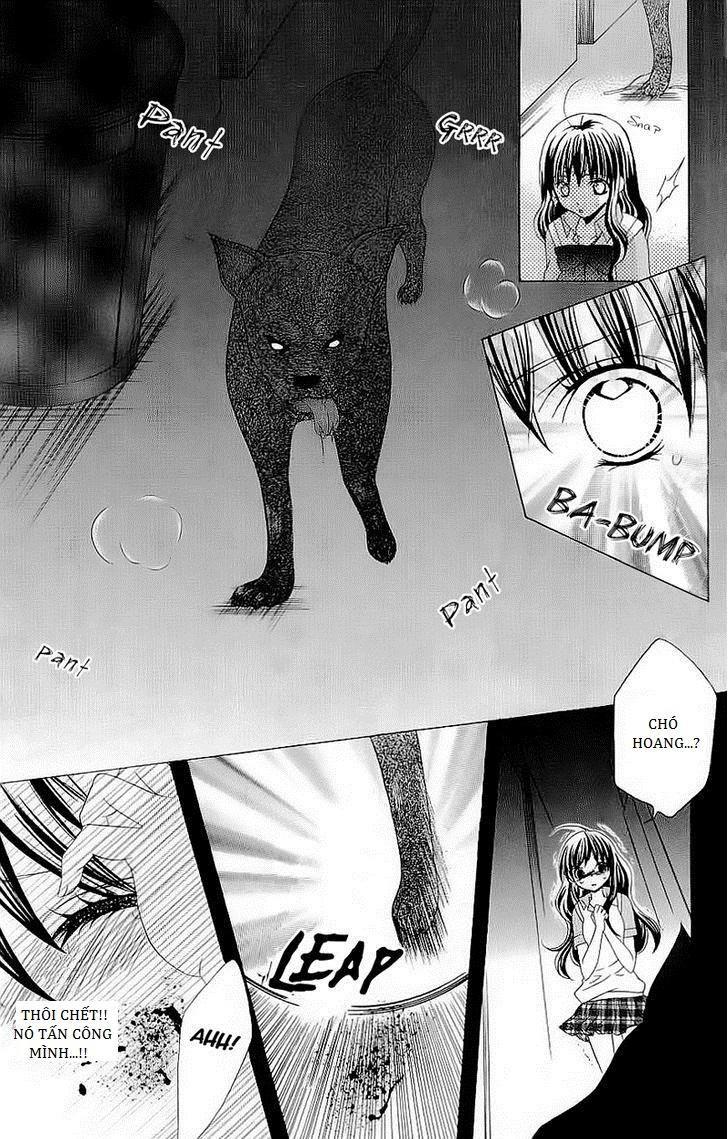 Mình Thích Cậu Đó, Suzuki: Chapter 42