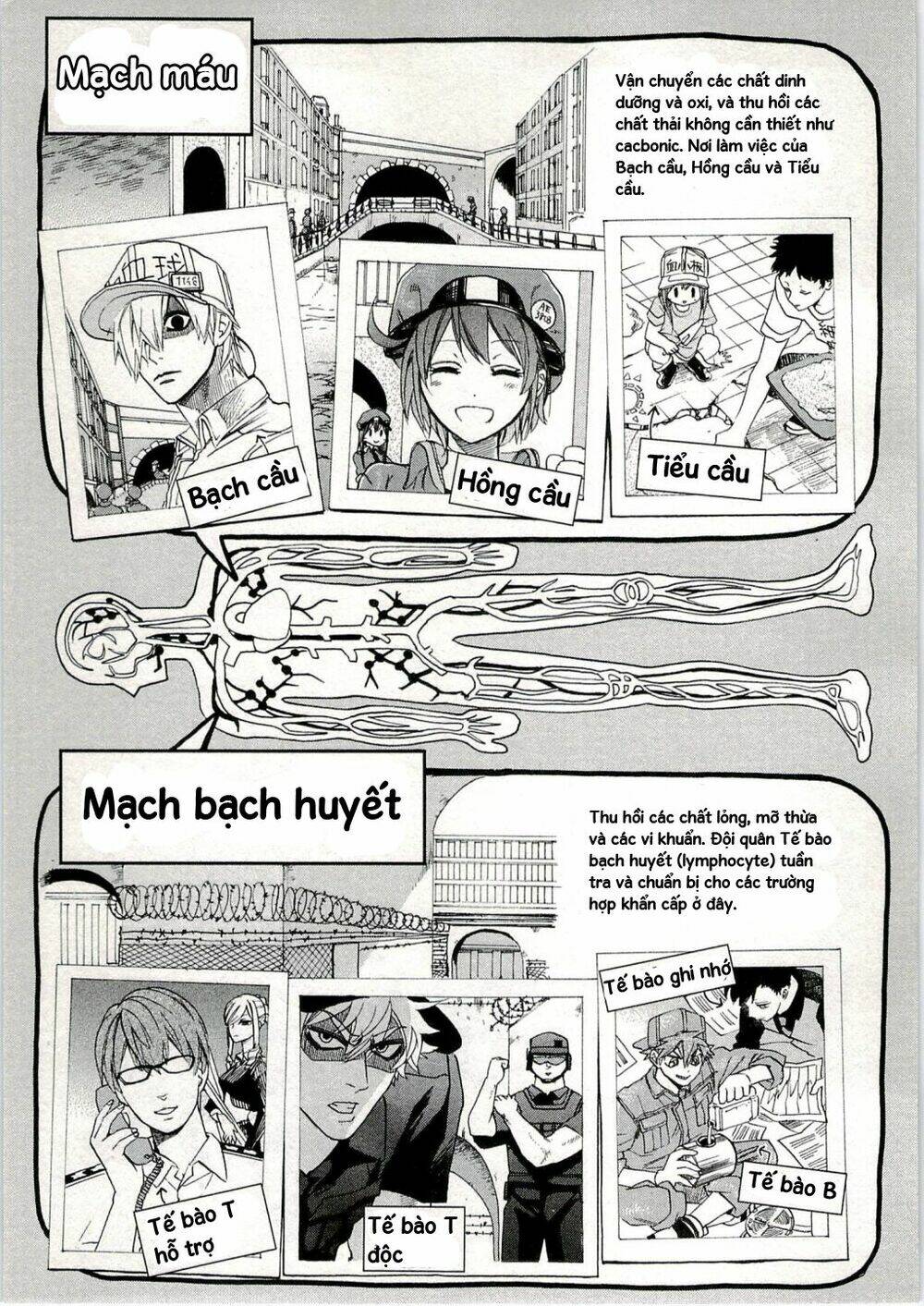 Hataraku Saibou!: Chapter 3