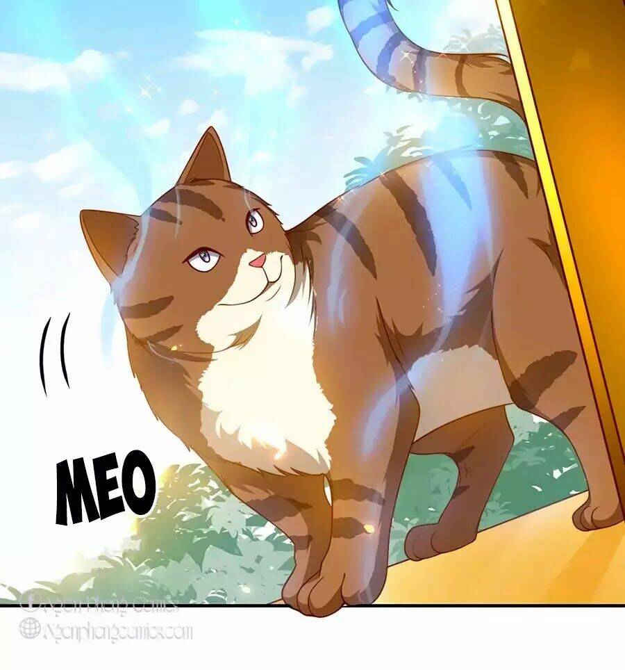 Sủng Hậu Của Vương: Chapter 6