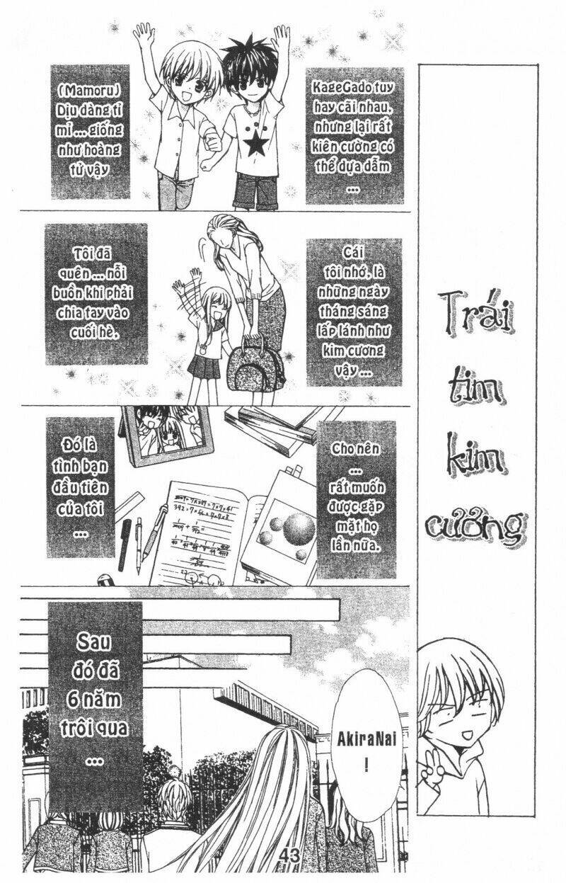 Trái Tim Kim Cương: Chapter 1