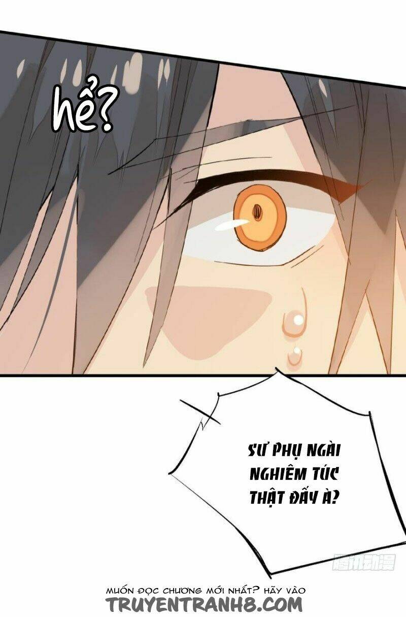 Sư Phụ Lại Trêu Chọc Ta: Chapter 15