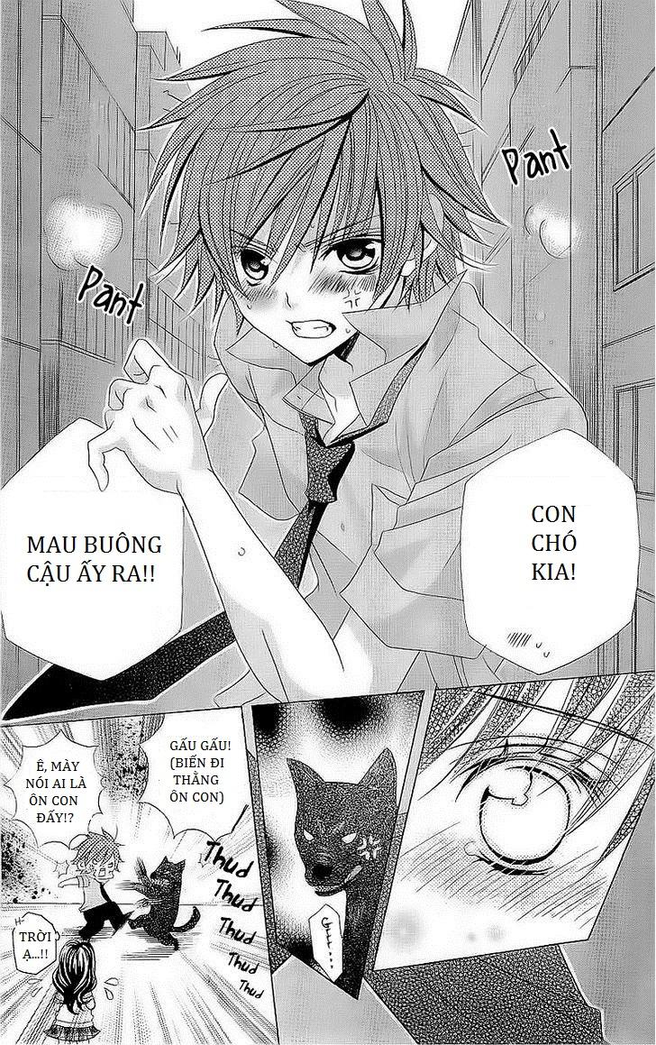 Mình Thích Cậu Đó, Suzuki: Chapter 42