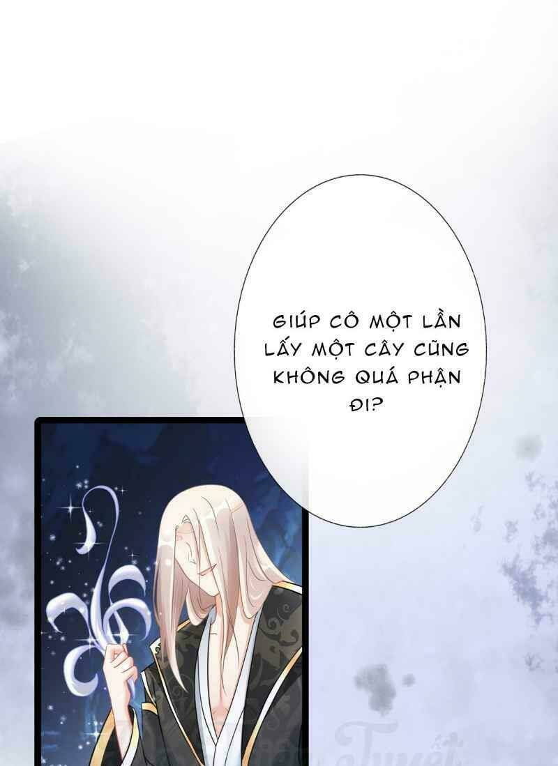 Nhân Vật Phản Diện Biến Thành Sủng Vật: Chapter 8