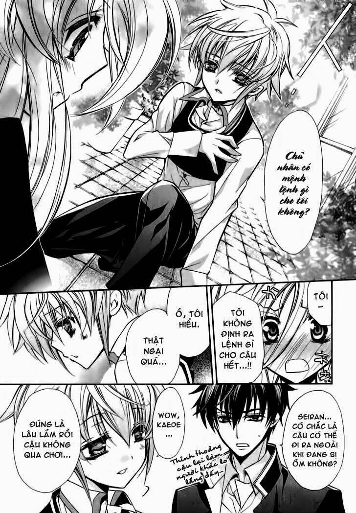 Nụ Hôn Của Công Chúa Tường Vi: Chapter 4