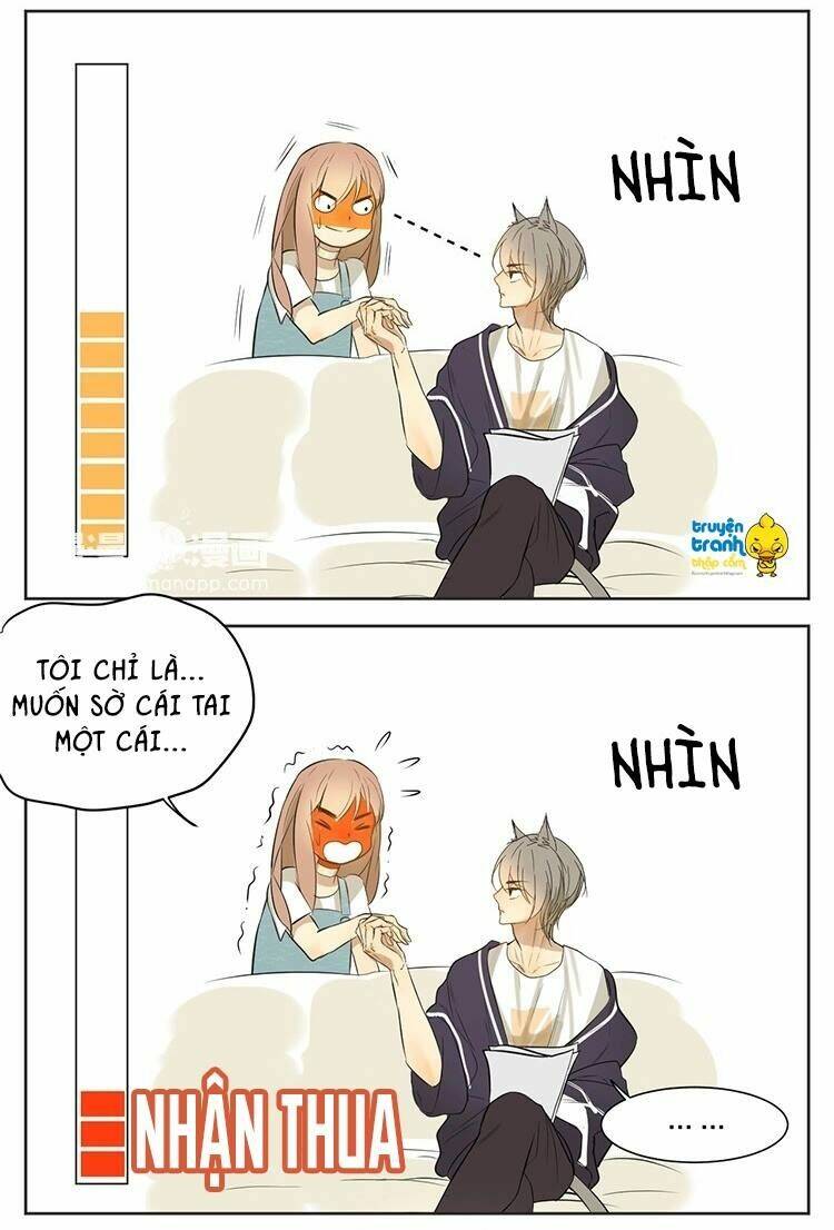 Cứu Mạng! Loài Mèo Thống Trị Thế Giới Rồi!: Chapter 13