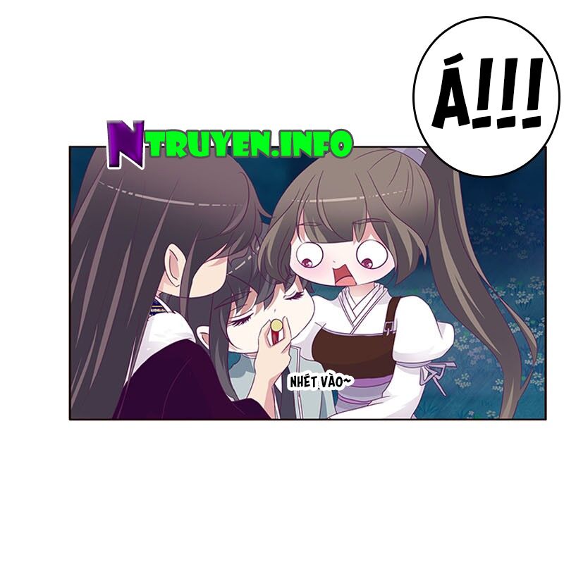 Thông Linh Phi: Chapter 305