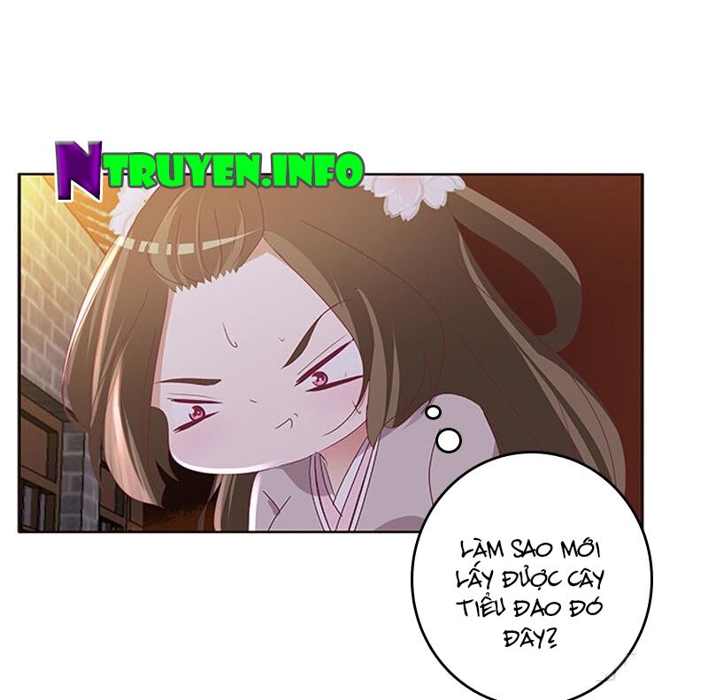 Thông Linh Phi: Chapter 331