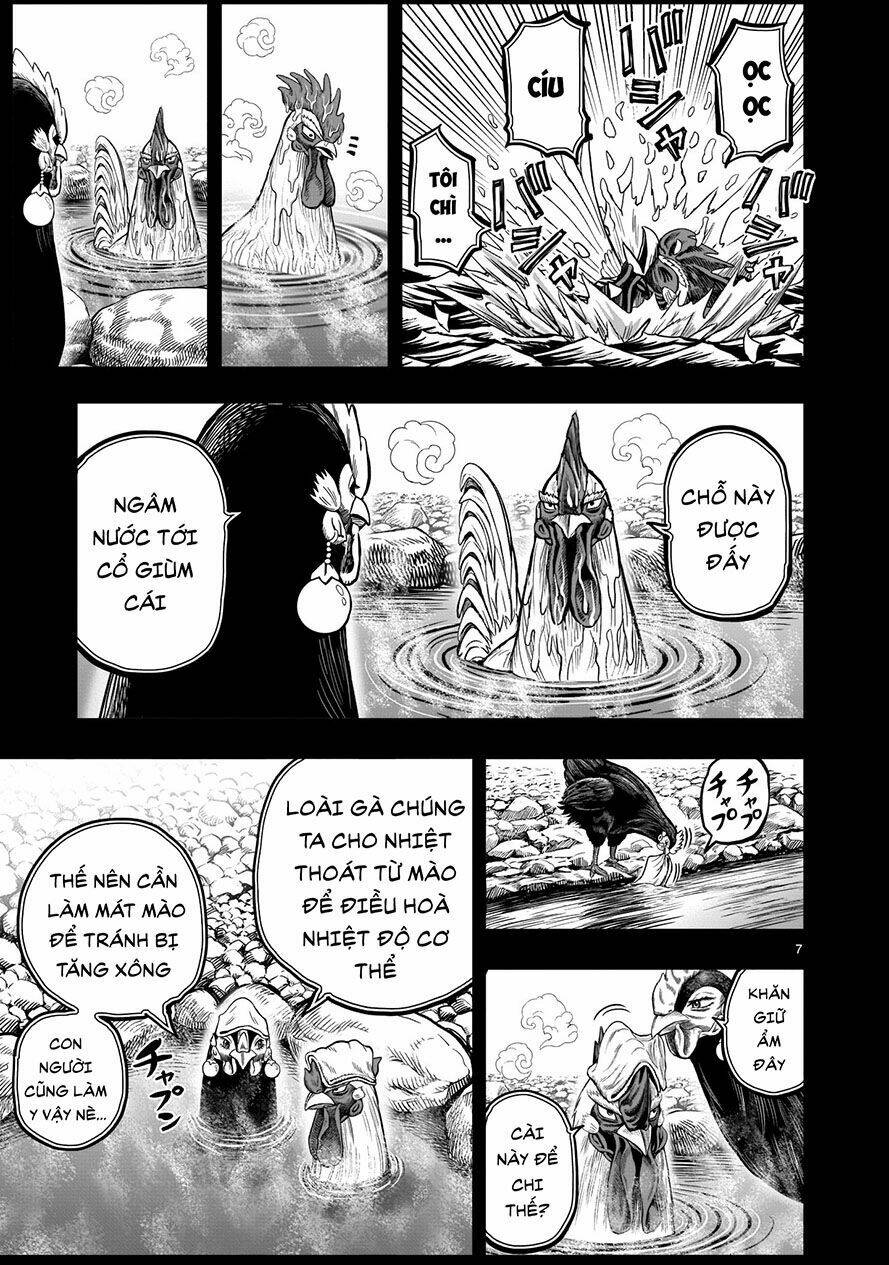 Cự Kê Chiến Ký: Chapter 8