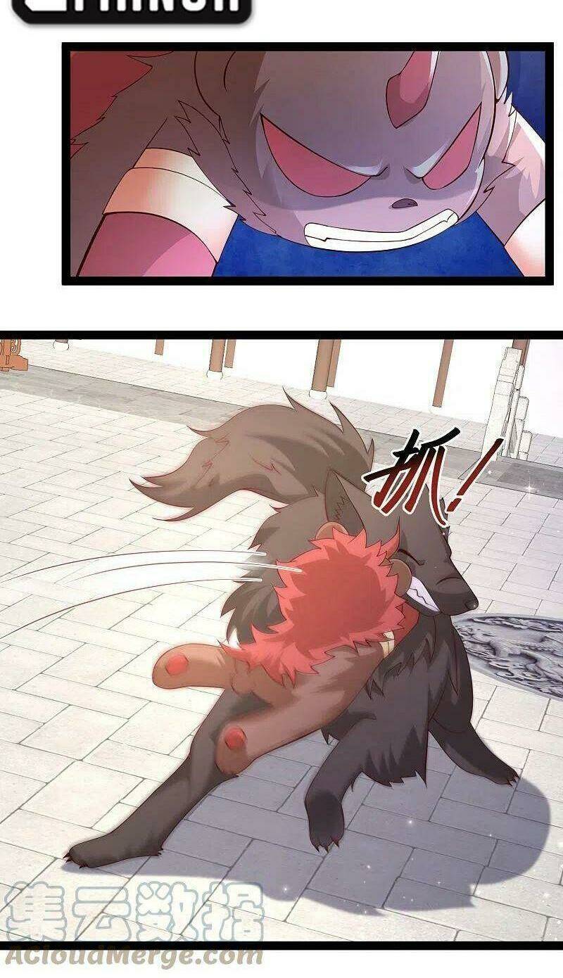 Tối Cường Vận Đào Hoa: Chapter 264