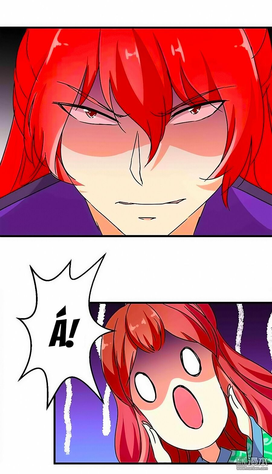 Vương Gia ! Ngươi Thật Bỉ Ổi !: Chapter 217