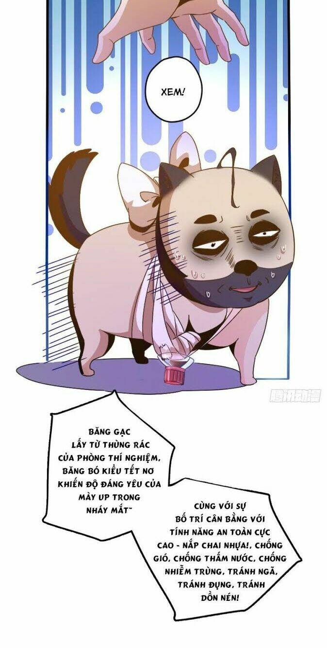 Mở Phòng Khám Tu Tiên: Chapter 2