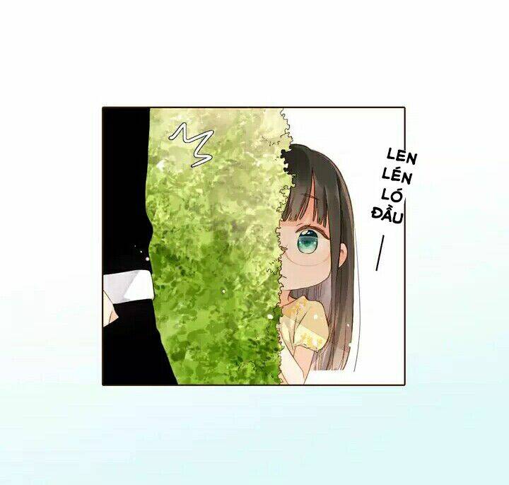 Tình Yêu Là Màu Hoa Anh Thảo: Chapter 28.2