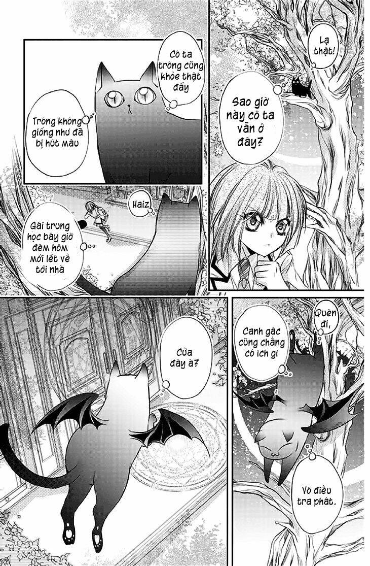 Chữ thập nhuộm máu: Chapter 14