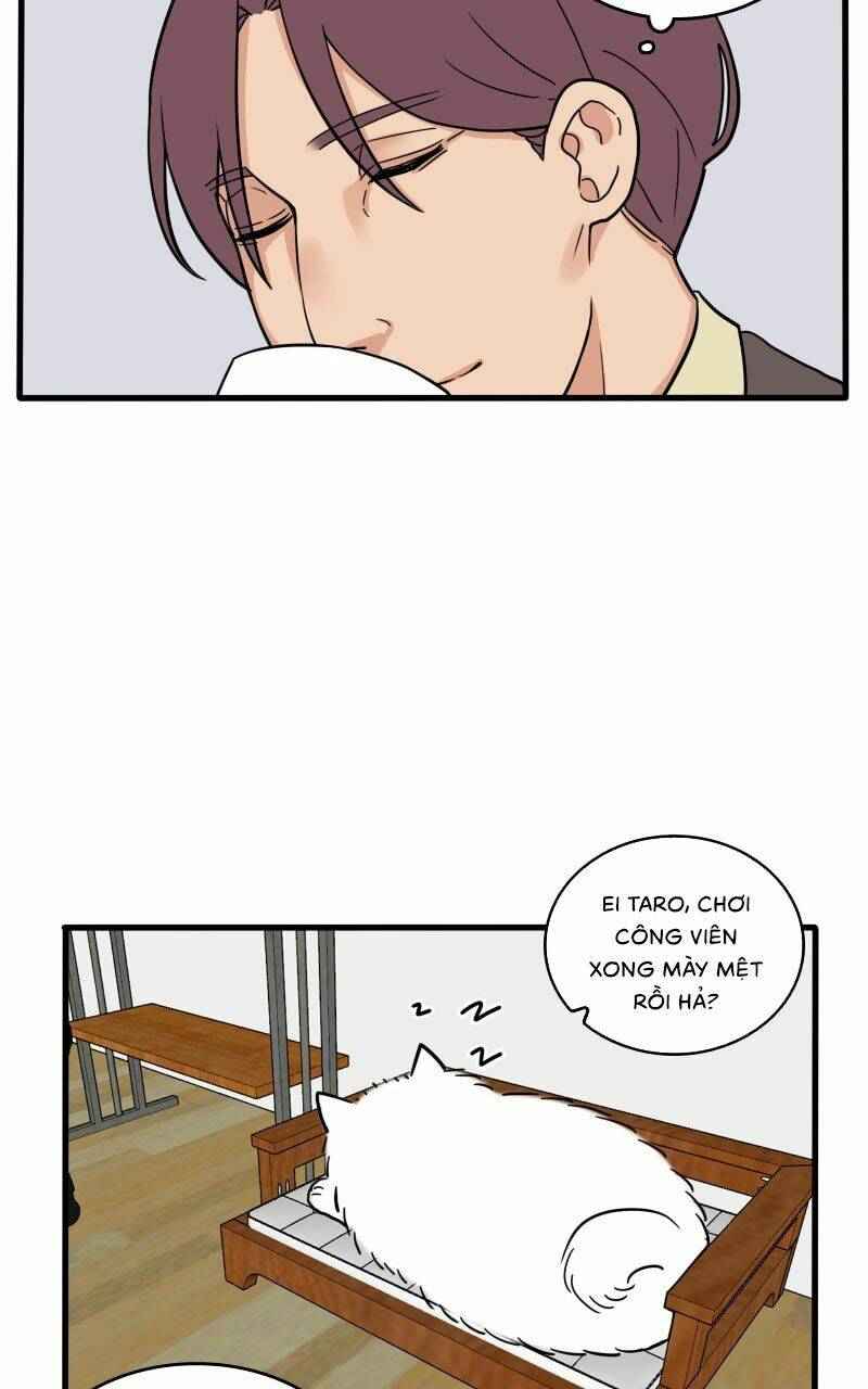 Not So Shoujo Love Story: Chapter 17