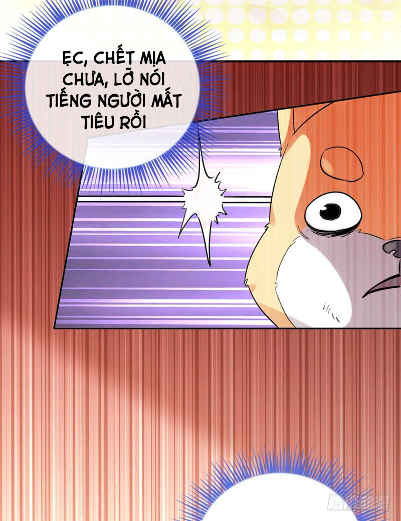 Lụ Đạn, Hôm Nay Lại Cũng Không Thể Biến Thành Người Được: Chapter 2