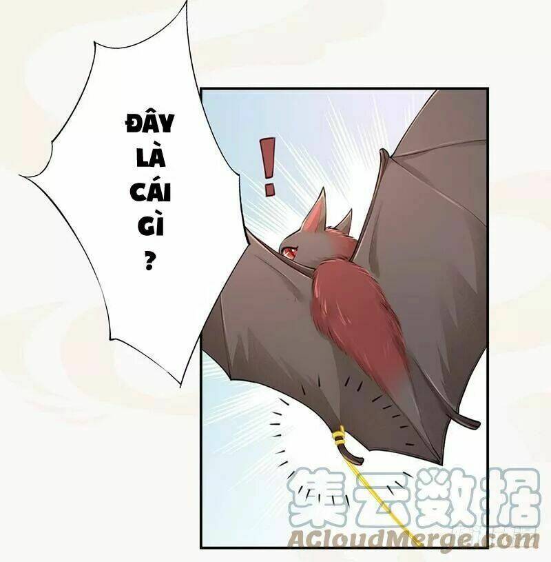 Tuyệt Thế Luyện Đan Sư: Chapter 34