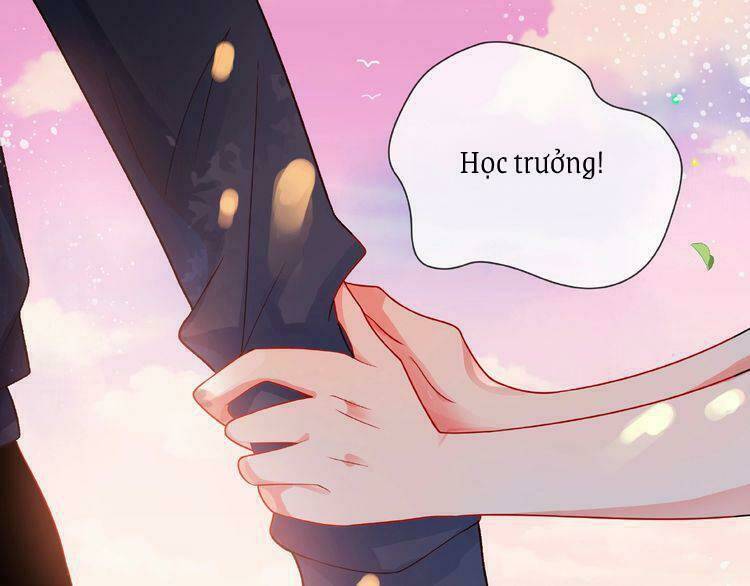 Giai Điệu Của Sự Va Chạm: Chapter 1