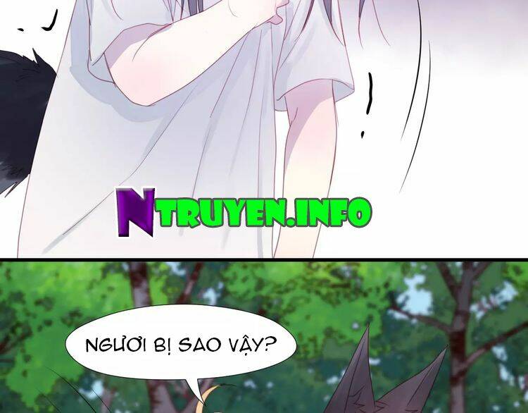 Lượm Được Một Tiểu Hồ Ly 2: Chapter 4