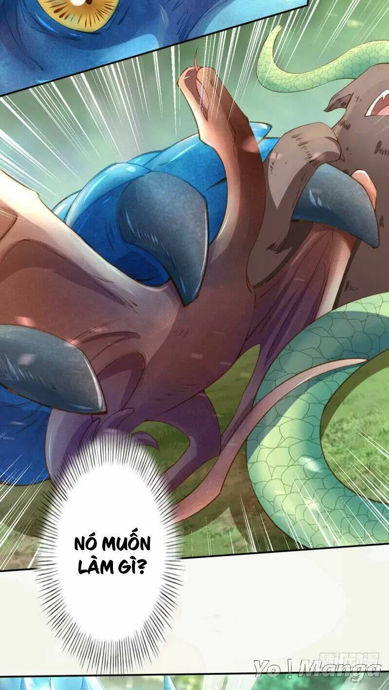 Tuyệt Thế Luyện Đan Sư: Chapter 81