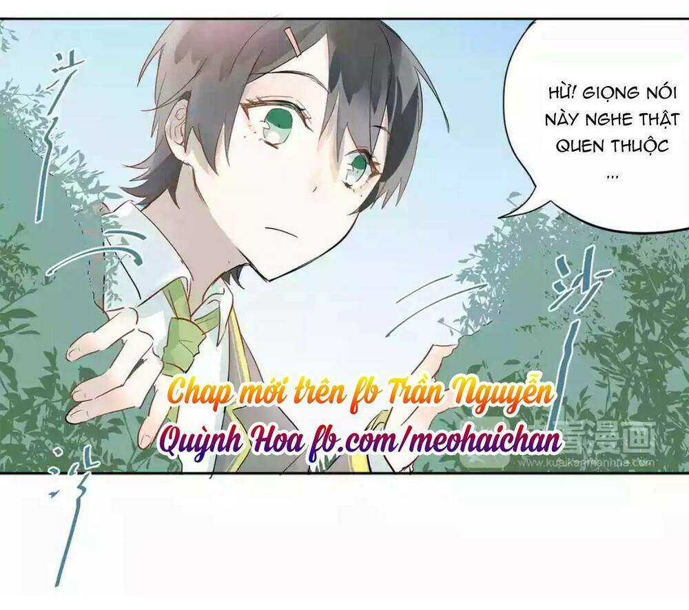 Đầu Gấu Biết Yêu: Chapter 7