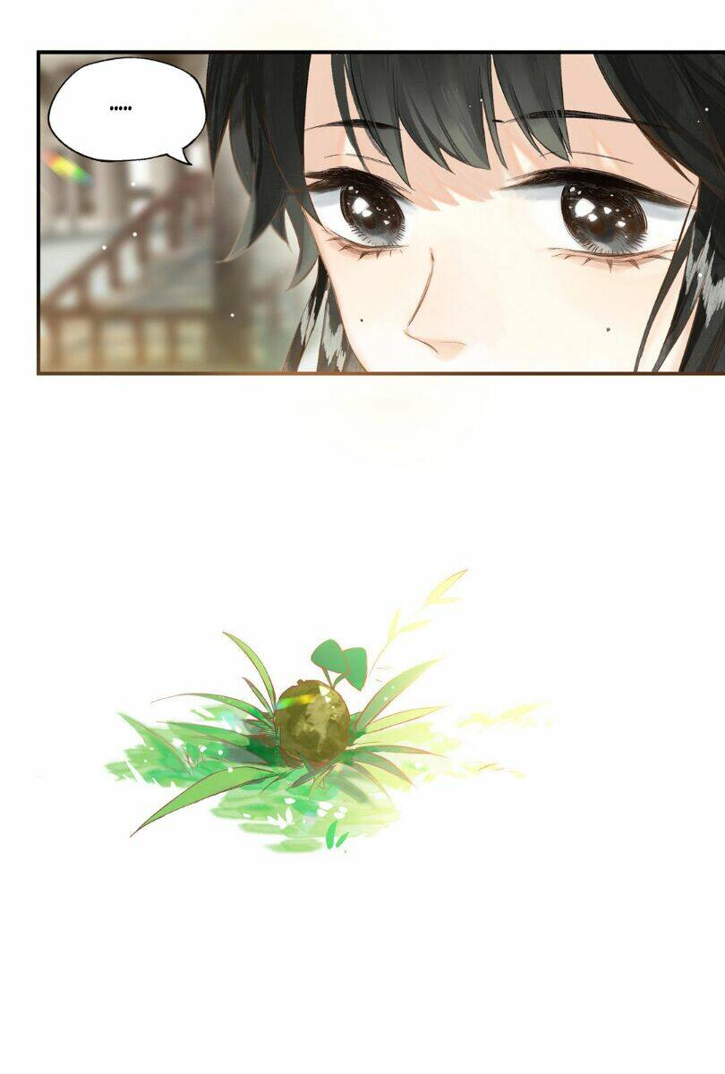 Lưu Hoa Bất Cập Xuân: Chapter 37