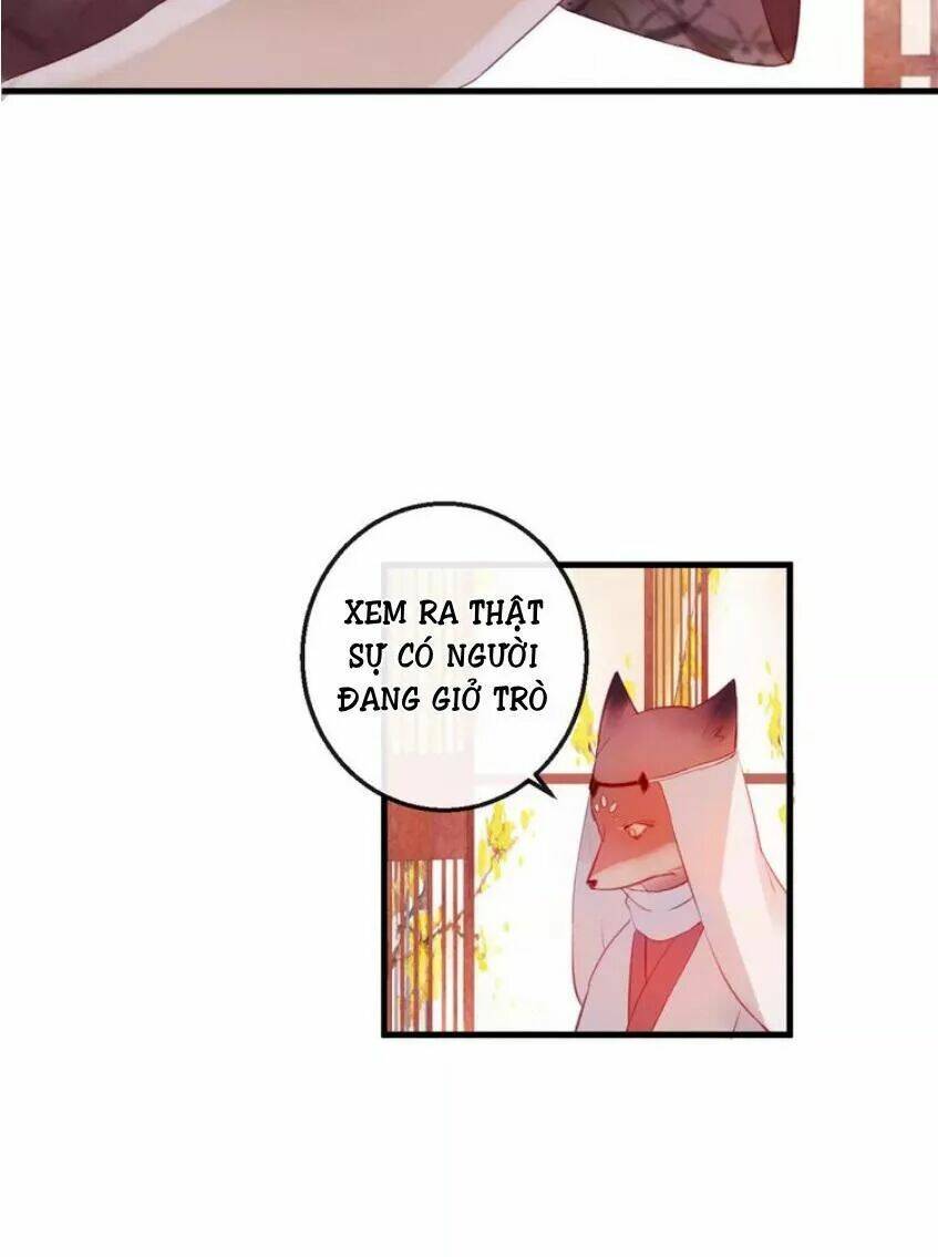 Hồ Minh Chi Hương: Chapter 5