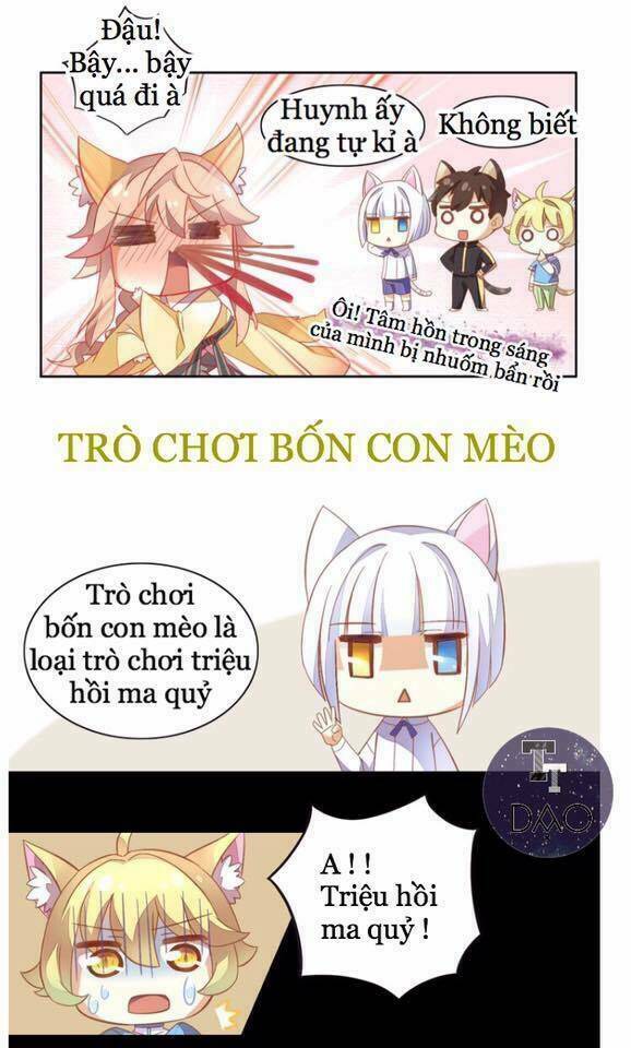 Dưới Móng Vuốt Mèo: Chapter 4