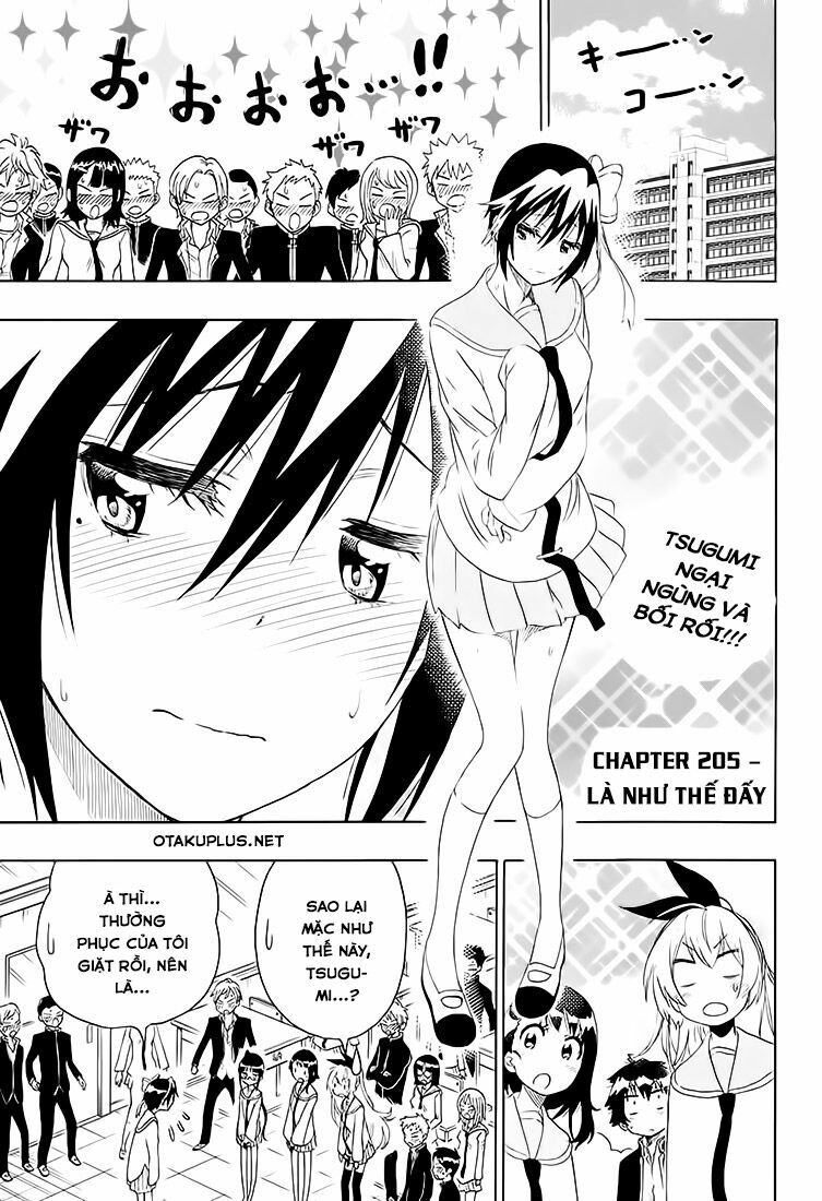 Tình Yêu Ngang Trái: Chapter 205