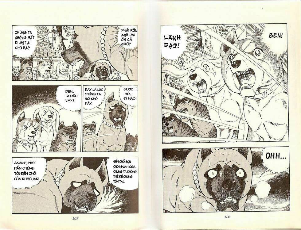 Chú Chó Có Nghĩa - Ginga Nagareboshi Gin: Chapter 20